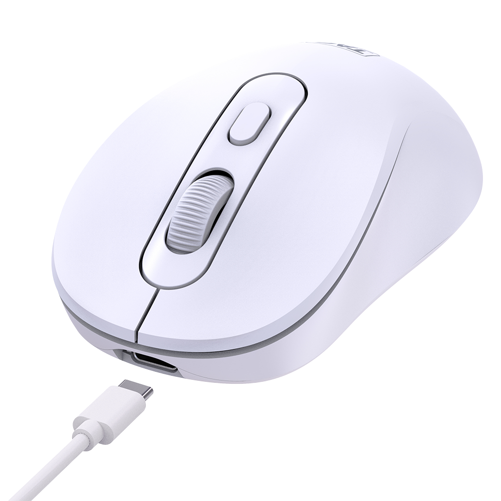 Wireless Mouse WM6000